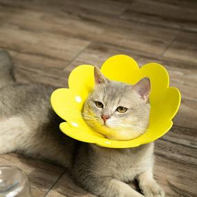 img 2 attached to 🌻 Набор Sunflower Cat Recovery Collar из 3 предметов - защитный конус от лижущих ран для кошек, предотвращает кусание и царапание - (розовый, оранжевый, желтый)