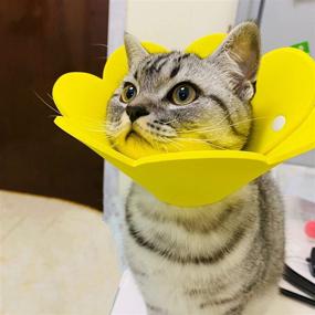 img 1 attached to 🌻 Набор Sunflower Cat Recovery Collar из 3 предметов - защитный конус от лижущих ран для кошек, предотвращает кусание и царапание - (розовый, оранжевый, желтый)