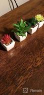 img 1 attached to Add A Touch Of Green With Veryhome'S 4Pcs Artificial Faux Succulent Mini Potted Plants For Home And Office Decor review by James Hounds