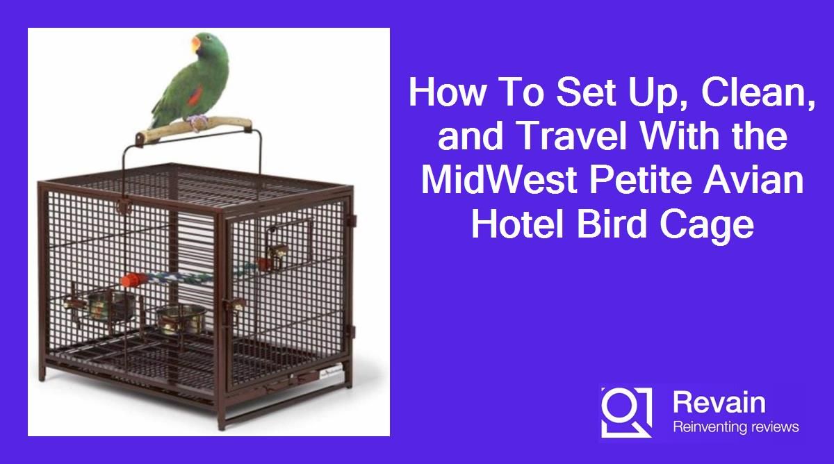 Article How To Set Up, Clean, and Travel With the MidWest Petite Avian Hotel Bird Cage
