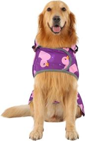 img 3 attached to 🌧️ HDE Dog Raincoat with Clear Hood: Protect Your Small, Medium, and Large Dogs with a Stylish Poncho Rain Jacket