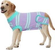 rozkitch dog recovery suit after surgery for dog cat, surgical onesie pant for female male dog, cone e-collar alternative post op abdominal wound anti licking costume after spay purple xs logo