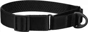 img 1 attached to Soft Padded Nylon Martingale Dog Collar for Training Small Medium Large Dogs - Durable Pet Collars in Black, Orange, Blue, Green, and Pink (S, Neck Size 12" - 16")