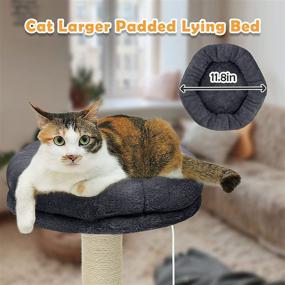 img 2 attached to 🐱 Yashong Cat Scratching Post - 4-in-1 Sisal Rope Cat Claw Scratcher with Arched Scratcher, Thickened Bottom Plate, Padded Lying Bed, and Toy - The Best Scratch Cat Tree for Kittens and Large Kitty Cats