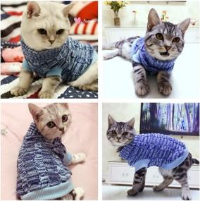 img 1 attached to 🐾 Wiz BBQT Pet Sweater: Casual yet Elegant Turtleneck Knitted Outerwear for Cats and Dogs, Complete with Collar — Stylish Knitwear Perfect for Your Pets