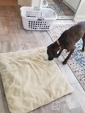 img 1 attached to 🛌 ARRR Dual-Sided Self-Heating & Cooling Pet Crate Bed Mat | Water-Resistant Cushion | Kennel Pad for Small to Medium Cats and Dogs | Fluffy Dog Bed with Washable Blanket | Dog Pillow in Cashmere Blue (M) review by Daionte Simpson