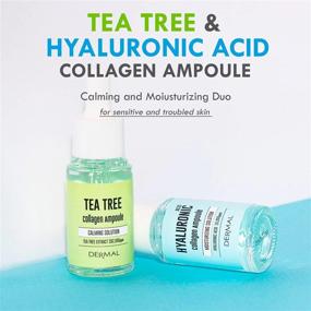 img 3 attached to Dermal Perfect Ampoule Serum Duo - Tea Tree & Hyaluronic Acid 0.57 Fl.Oz X 2 - Collagen Infused Serum For Sensitive & Irritated Skin, Moisturizing & Nourishing