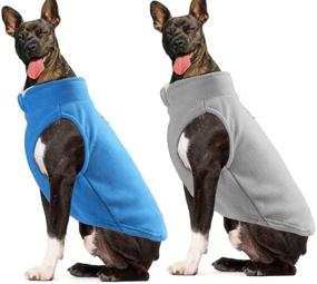 img 2 attached to OWBB 2 Pieces Dog Sweater Fleece Vest: Warm Winter Jacket for Small & Medium Dogs with Leash Attachment - Ideal for Outdoor & Indoor Use!