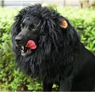 unleash your pet's wild side with onmygogo lion mane wig with ears in size l, perfect for halloween and christmas logo