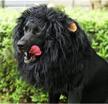 unleash your pet's wild side with onmygogo lion mane wig with ears in size l, perfect for halloween and christmas logo