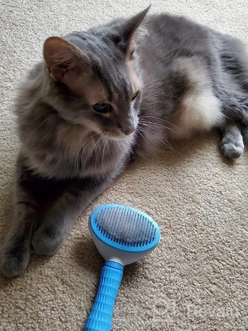 img 1 attached to Depets Self Cleaning Slicker Brush, Dog Cat Bunny Pet Grooming Shedding Brush - Easy To Remove Loose Undercoat, Pet Massaging Tool Suitable For Pets With Long Or Short Hair review by Matt Charlton