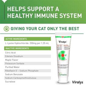 img 3 attached to 🐱 Vetoquinol Viralys Gel - Lysine Supplement for Cats, 5oz - All Ages Cats & Kittens - Immune Health - Sneezing, Runny Nose, Squinting, Watery Eyes - Palatable Maple Flavor Lysine Gel
