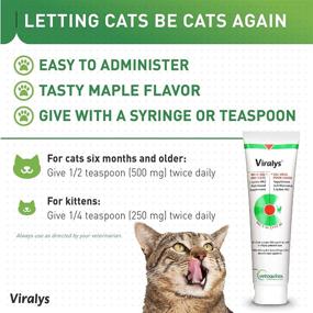 img 1 attached to 🐱 Vetoquinol Viralys Gel - Lysine Supplement for Cats, 5oz - All Ages Cats & Kittens - Immune Health - Sneezing, Runny Nose, Squinting, Watery Eyes - Palatable Maple Flavor Lysine Gel
