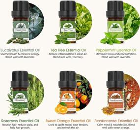 img 2 attached to 12-Piece Essential Oil Set - Eucalyptus, Tea Tree, Peppermint & More!
