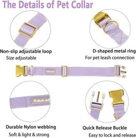 img 2 attached to 🐶 Babole Dog Collars: Adjustable Nylon Pet Collars with Safety Metal Buckle, Soft and Comfortable for Small, Medium, and Large Dogs