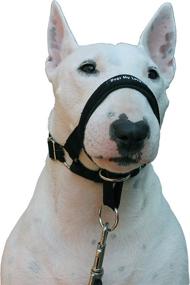 img 2 attached to Black Head Collar Halter for Dogs - Available in 6 Sizes