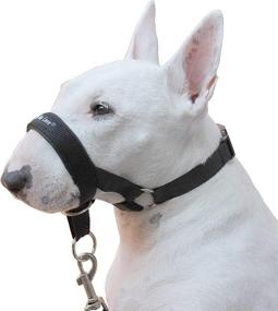 img 1 attached to Black Head Collar Halter for Dogs - Available in 6 Sizes