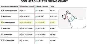 img 3 attached to Black Head Collar Halter for Dogs - Available in 6 Sizes