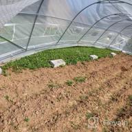 img 1 attached to YOLENY 20' X 10' X 7' Greenhouse: Large Portable Walking Tunnel Tent For Gardening & Plant Hot House - White review by Michael Weaver