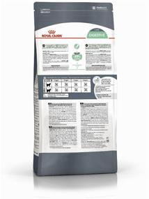 img 4 attached to Dry food for cats Royal Canin Digestive Care to maintain a healthy digestive system from 1 to 12 years 2 kg