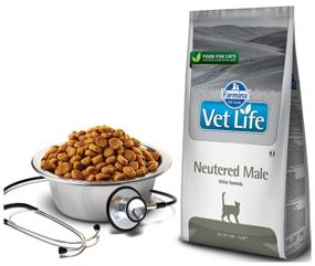 img 4 attached to Dry food for neutered cats Farmina Vet Life Male 2 kg