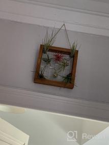 img 5 attached to Air Plants Frame Bromeliads Wall Holder DIY Airplant Hanger Tillandsia Wall Display Succulent Stand Flower Shelf Planter Basket With Hanging Hooks Balcony Patio Garden Home Décor (PLANTS NOT INCLUDED)