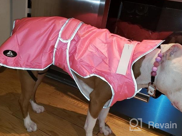 img 1 attached to Waterproof Reflective Winter Dog Jacket With Reversible Stormguard, Windproof Coat For Cold Weather, Warm Coat Vest For Small, Medium, Large Dogs - Red (Size S) By MIGOHI review by Wensheng Dunbar