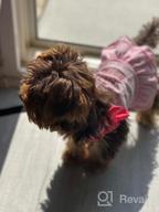 img 1 attached to 2 Pack Princess Bowtie Dog Dresses - Cute Sundresses For Small Dogs By KYEESE review by Michael Harden