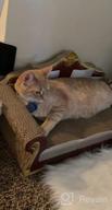 картинка 1 прикреплена к отзыву Luxury Cardboard Cat Scratcher Bed - Sofa Shape Scratcher For Indoor Cats With Catnip And Lounge Area от Patrick Biletnikoff