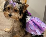 img 1 attached to 👗 QingLuo Sweet Puppy Dog Princess Dress - Pink/Purple Bow Lace Tutu Skirt - Doggie Dress for Dog/Cat (X-Small, Purple) review by Chris Benton