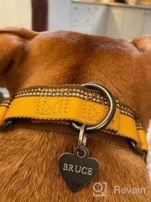 img 5 attached to Stay Safe And Stylish: Large Hyhug Pets Reflective Martingale Collar For Giant Breeds