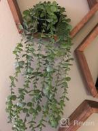 img 1 attached to Small Artificial Hanging Plants Decor With Pot - Faux Eucalyptus Greenery Vines For Indoor And Outdoor Home Décor, FUNARTY Fake Plants Set Of 3 review by Adrian Ojeda