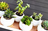 img 1 attached to Add Elegance To Your Space With ZOUTOG Mini Ceramic Succulent Planters - Pack Of 4 review by Joshua Vogel