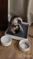 img 1 attached to Small Animal Litter Box For Cage - 15X12 Guinea Pig Litter Pan With Grid, Ideal Bunny Restroom, Toilet, And Potty Trainer For Ferret, Chinchilla, And Rat review by Rushabh Bear