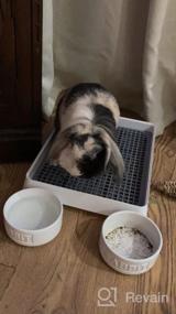 img 6 attached to Small Animal Litter Box For Cage - 15X12 Guinea Pig Litter Pan With Grid, Ideal Bunny Restroom, Toilet, And Potty Trainer For Ferret, Chinchilla, And Rat