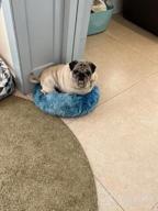 img 1 attached to Calming Dog Bed Donut For Small And Medium Pets - Anti-Anxiety Fluffy Bed By NOYAL review by Louis Mechtak