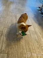 img 1 attached to Durable And Squeaky Christmas Dog Toys For Aggressive Chewers - Made With Non-Toxic Natural Rubber (Blue) review by Andy Kucrud