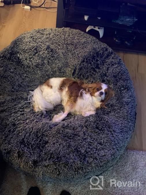 img 1 attached to Bessie And Barnie Plush Faux Fur Bagel Dog Bed - Waterproof Lining & Washable Cover - Circular Calming Dog Bed In Multiple Sizes & Colors review by Paula Ward