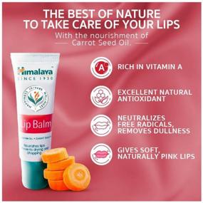 img 2 attached to Himalaya Herbals Lip balm with carrot seed oil Lip Balm