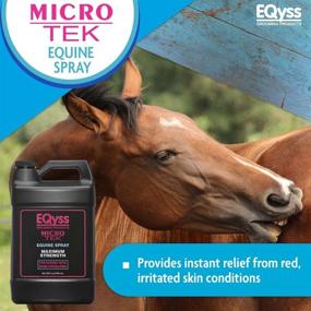 img 3 attached to 🐎 Eqyss Micro-Tek Equine Spray - Optimal Solution for Horses Dealing with Skin Issues