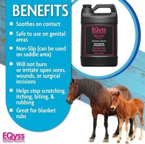 img 2 attached to 🐎 Eqyss Micro-Tek Equine Spray - Optimal Solution for Horses Dealing with Skin Issues