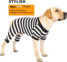 img 2 attached to 🐾 Wolspaw Cotton Dog Jumpsuit: Striped Pajamas for Small Medium Large Boy Girl Dogs, Pet PJs Onesie Outfits - Black XS