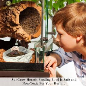 img 2 attached to 🐌 Durable and Versatile SunGrow Small Hermit Crab Feeding Bowl: Perfect for Turtles, Leopards, Crested Geckos and Ball Pythons; Doubles as a Decorative Climbing Toy or Drinking Bowl