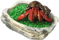 🐌 durable and versatile sungrow small hermit crab feeding bowl: perfect for turtles, leopards, crested geckos and ball pythons; doubles as a decorative climbing toy or drinking bowl logo