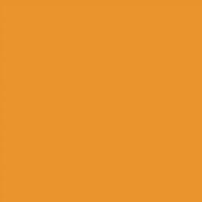 img 1 attached to Colorations RESISTOR Prima-Color Рулоны стойкой к выцветанию бумаги, оранжевый, Искусство и ремесла, 48 дюймов X 60 футов, рисунок, рисование пальцами, краска, акварель, настенное искусство, доски объявлений, детские поделки