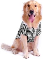 🐾 stylish and comfortable petroom dog striped tee shirt for large dogs – black white stripe, size l логотип