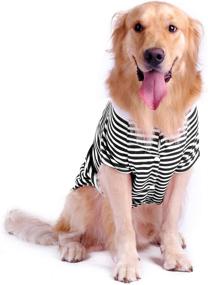 img 4 attached to 🐾 Stylish and Comfortable Petroom Dog Striped Tee Shirt for Large Dogs – Black White Stripe, Size L