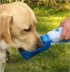 img 1 attached to Keep Your Pet Hydrated On The Go: Portable Pet PortaBottle Travel Sport Bottle & Dish By Heininger