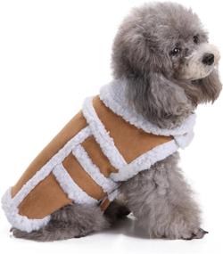 img 4 attached to BWOGUE Small Dog Warm Winter Coat - Stylish Shearling Fleece Dog Jackets for Small to Medium Breeds - Comfy & Cozy Dog Clothing