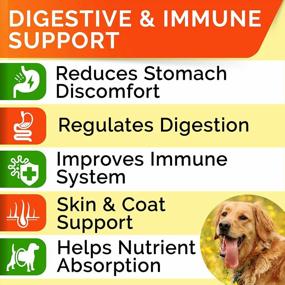img 3 attached to Dog Probiotics Treats For Picky Eaters - Digestive Enzymes + Prebiotics - Chewable Fiber Supplement - Allergy, Diarrhea, Gas, Constipation, Upset Stomach Relief - Improve Digestion, Immunity